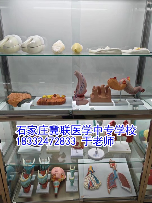石家莊冀聯(lián)醫(yī)學(xué)中專學(xué)校護理學(xué)習(xí)什么？接觸解剖嗎？